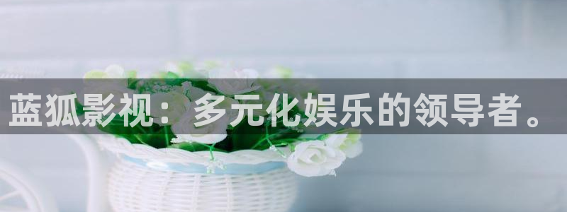 玫瑰的故事电视剧在线观看星辰影院