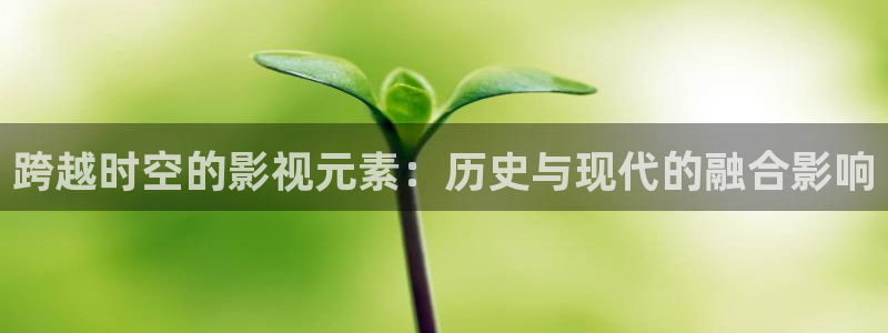 星辰影院在线观看网站