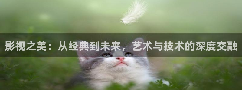 星辰影院电视剧在线播放